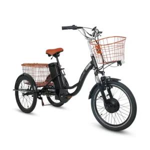 AU테크 48V 10Ah 스카닉 트라이크 전기자전거 삼륜 PAS 포함