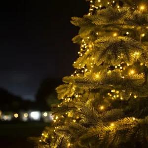 50구 녹색선 LED 지니전구 5m 점멸 웜색 트리전구 크리스마스 트리전구 트리조명 크리스마스전구