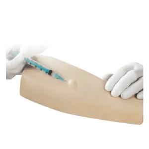 피부모형 간호사 주사 실습 혈관 모델 모형 팔뚝 단일 상품