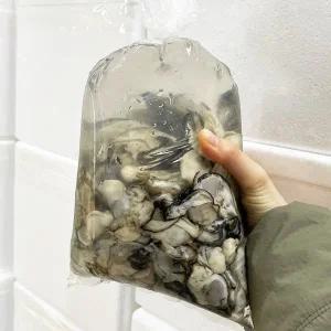 [푸드타켓]당일수확 품질좋은 제철 생굴 1kg (가열 후 섭취권장)