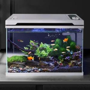 스마트 무환수 어항 수족관 인테리어 물고기키우기 관상어