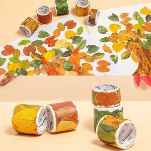 낙엽 마스킹 테이프 5종 세트 가을 만들기 다이어리 환경 게시판 꾸미기 문구 용품