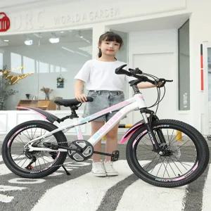 22인치자전거 주니어 초등 저학년 입문용 자전거 22인치