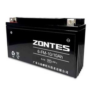 교체용 6 배터리 스쿠터 존테스 U1 10Hr G2 충전기 10 오토바이 FM 호환