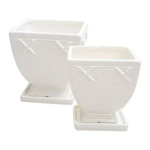 다육도자기화분 선인장화분 다육이용기 미니다육도자기 다육화분 다육이화분