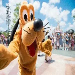 [부산출발] 상해 4일 #꿈과환상의 나라로#디즈니랜드#NO옵션NO쇼핑#준5성호텔#예원#외탄야경#남경로