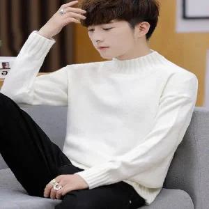 터틀넥 목 티 폴라 캐시미어 니트 기모 스웨터 남자 하프 겨울 두꺼운 스타일 커플 흰색 미드넥 트렌드 202