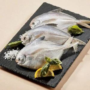 [NS홈쇼핑]여수직송 국내산 병어 30마리 (250g 10팩)[35534994]