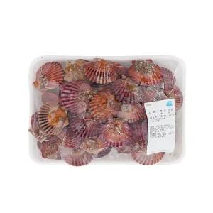 [생물][국산] 남해안 홍가리비 (100g)