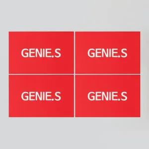 에스캔디 다이어트캔디 4박스