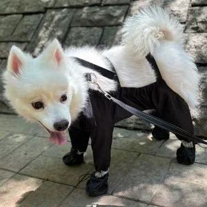 [골드스마일]일체형 발커버 반려동물 수트 먼지 눈 비 오염 방지