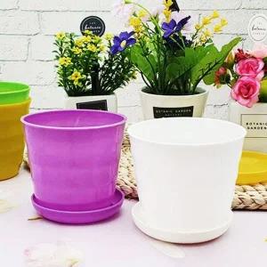 [골드스마일]미니화분 칼라 작은 플라스틱 다육이 화분