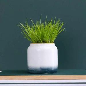 [콩심팥심]포레스트 도자기 화분 그라데이션 다육이 미니