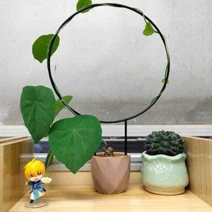 [콩심팥심]초록 공간 원형 식물 지지대 2p 넝쿨 화분 철제지주대 식물지주대