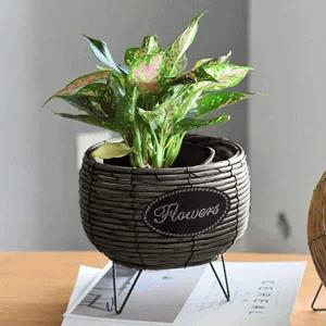 [콩심팥심]힐링하우스 스탠드 화분 바구니 커버 그레이 미니