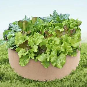 [콩심팥심]초록가든 베란다 텃밭 부직포 화분 실내 재배 분갈이화분