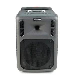 고품질 교회 포터블 버스킹 앰프 이동식 스피커 500W 연습 모듈 매장 (WE59BCC)