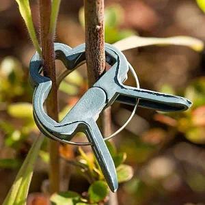 [콩심팥심]원예 지지대 오이 토마토 식물 고정집게 작물 20개입