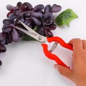 고품질 손잡이 고정 스텐 원예가위 가지치기 조경용 꽃 가위 (WE62AA9)