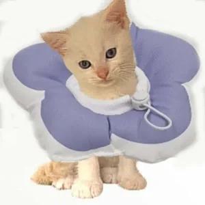 [콩심팥심]고양이 넥카라쿠션 중성화 꽃모양 강아지넥카라 퍼플S