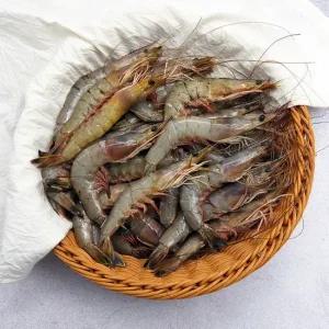 서해안 자연산 대하 1kg  28-30미내외  급냉)