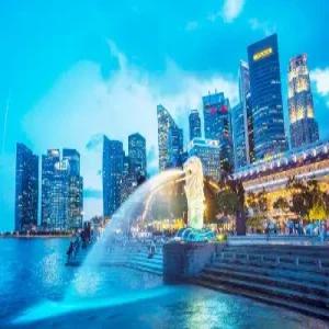 [싱가포르 + 조호바루 + 바탐 5일] # 노쇼핑 # 3개국 관광