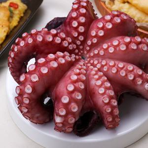 국산 자숙 돌문어 1kg 전후 1마리 제수용 문어 크기별 사이즈별