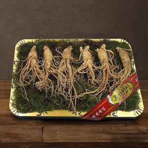 갤러리아 [풍기인삼] 5년근 수삼 1채 750g (5-7뿌리/등바구니)