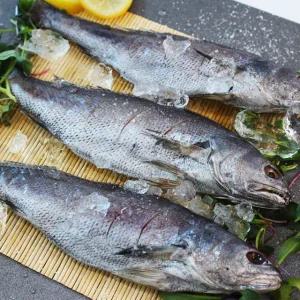 [롯데백화점]친환경팔도 여수 반건조 민어 3마리