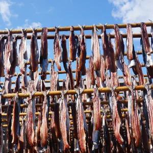 [포항 구룡포 햇과메기 철] 완전손질과메기야채세트(15마리30쪽)