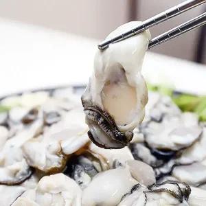 당일 작업 통영 생굴1kg