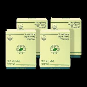 [3+1 행사] 영롱 비건 베리 비타민C 200 / 인디안구스 암라 임산부 어린이 비타민씨