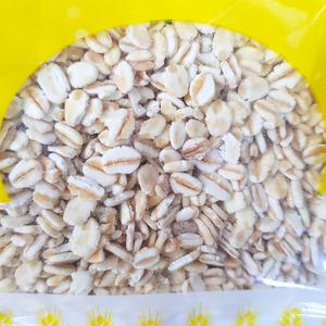 집어제 압맥 - 감성돔 밑밥 바다낚시미끼 백크릴 크릴새우