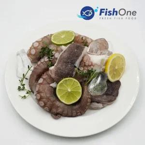 [피시원] 국내산 손질세척 돌문어 500gx2팩