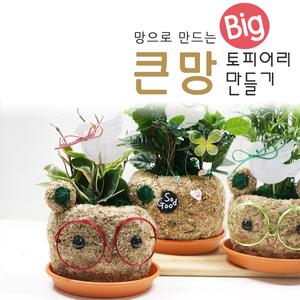 대형 큰망토피어리 만들기 DIY 집콕 체험학습 공기정화식물