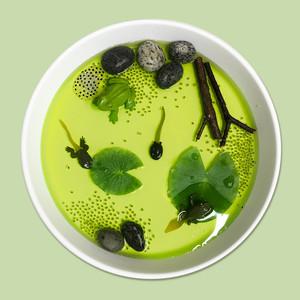 바니그라운드 개구리 스몰월드 / 개구리 성장과정 놀이키트 유치원 유아 조카 단체 선물