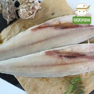 [롯데백화점]삼촌밥먹자 청정제주에서 직배송한 제주 삼치살 2kg