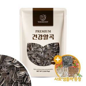 올펫몰 대형 해바라기씨 1kg 중대형 앵무새 햄스터