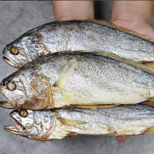 3분 찐 손질 부세보리굴비 10미