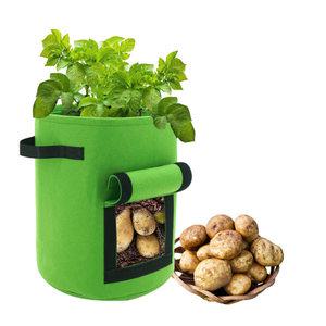 감자 키우기세트 키트 새싹 재배기 어린이 재배 체험 관찰학습/부직포화분가방 미니텃밭 화분커버 친환경 식목일행사 미니정원 식물재배 체험키트