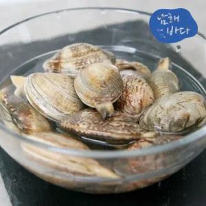 [남해바다] 바지락 1kg