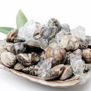 바지락총각의 하전갯벌 해감 참바지락1kgx5팩