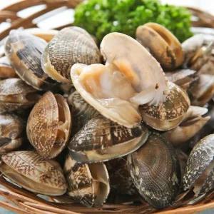 바지락총각의 하전갯벌 참바지락1kgx3팩