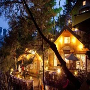 [강원] 횡성 로그캐빈애견동반펜션(강원, 횡성)