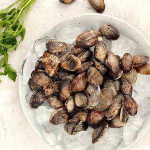 [바다담음] 통영 바지락 1kg