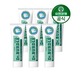 닥터버들 구취/잇몸/토탈케어 치약 100g X 6개 외
