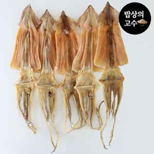 구룡포 당일바리 마른오징어 동해안 울릉도 건조오징어 20미 1축 2kg