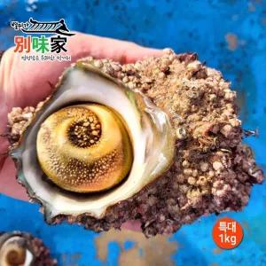 [엔젤쿡][별미가] 하얀돌 해녀가 직접 채취한 자연산 통영 뿔소라 특대 1kg(5-6미)