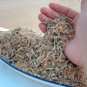 국산 밥새우 섞인 잔멸치 500g 상급 지리멸치 건새우