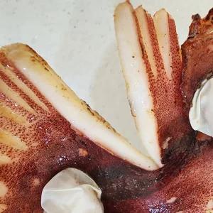 포항 구룡포 반건조 오징어 10미 1kg내외